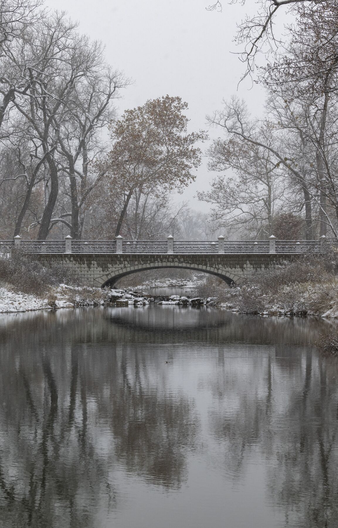 The first snow in St. Louis